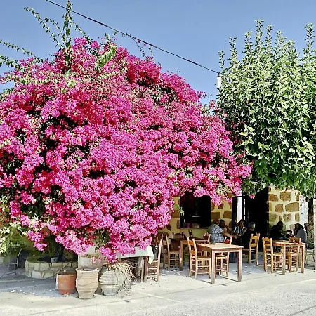 Willa Avra Vrisses Crete Alikampos